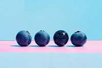 Creative minimal photography of blueberry fruit plant food.