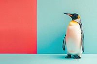 Creative minimal photography of penguin animal bird wildlife.