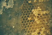 Honeycomb honeycomb backgrounds apiculture.