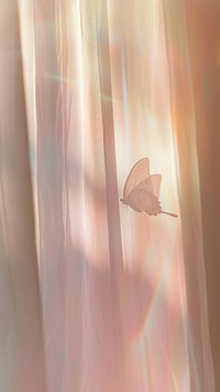Shadow of butterfly under the curtain outdoors nature backgrounds.