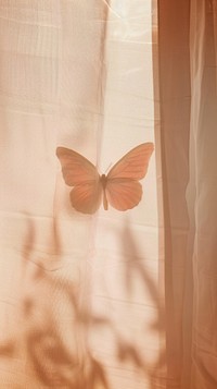 Shadow of butterfly under the curtain animal insect petal.