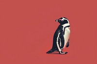 Swiss design minimal art of penguin animal bird wildlife.