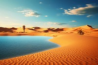 Sahara desert oasis border sky landscape outdoors.