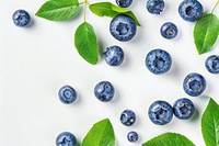 Blueberry blueberry backgrounds bilberry.