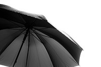 Black umbrella white monochrome sheltering.