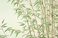 Realistic vintage drawing of bamboo backgrounds plant pattern.