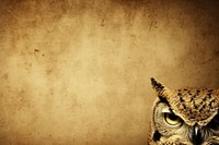 Realistic vintage drawing of owl animal bird photography.