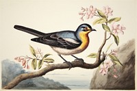 Bird painting animal art.