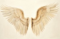 Angel wings white bird art.