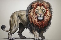 Lion art painting drawing.