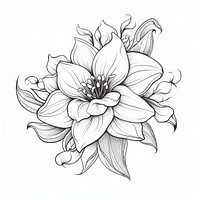 Champa flower drawing sketch white.