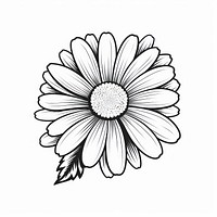 Cute daisy drawing flower sketch.