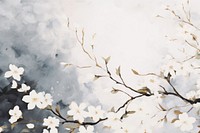 Abstract white spring flowers backgrounds blossom plant.