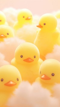Yellow baby duck poultry animal nature.