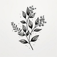 Leaf pattern drawing sketch.