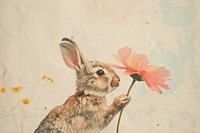 Retro collage of Little rabbit smelling a flower animal rodent mammal.
