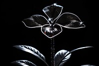 Houseplant flower light black.