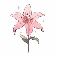 Pink Liliy flower plant lily | Free Photo Illustration - rawpixel