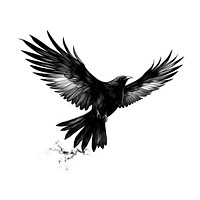 Prung animal flying black.