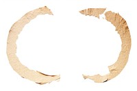 Circle shape adhesive strip white background crescent damaged.