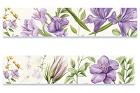 Flower illustration pattern adhesive strip plant white background inflorescence.