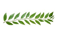 Leaves pattern illustration adhesive strip plant herbs leaf.