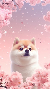 Cute Akita dreamy wallpaper animal dog portrait.