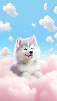 Cute Alaskan Malamute dreamy wallpaper animal dog outdoors.