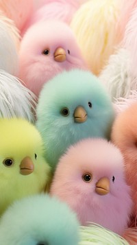 Fluffy pastel kiwi bird animal mammal cute.