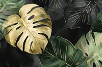 Monstera leaf watercolor background backgrounds nature plant.