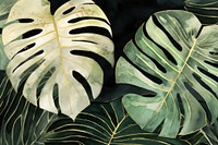 Monstera leaf watercolor background backgrounds plant green.