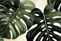 Monstera leaf watercolor background backgrounds plant green.