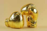 Golden boxing gloves sculpture cosmetics treasure.