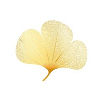 Yellow ginkgo icon plant petal leaf.