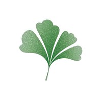 Green ginkgo icon plant leaf white background.