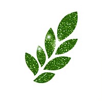 Green plant icon herbs leaf white background.