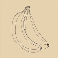 Hand drawn of banana drawing line chandelier.
