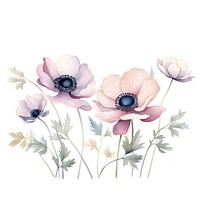 Anemone border watercolor blossom drawing flower.