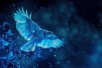 Bioluminescence Eagle background blue animal bird.