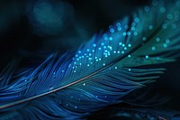 Bioluminescence Feather background backgrounds feather light.