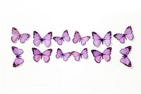 Butterfly pattern adhesive strip animal insect purple.