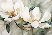 Magnolia watercolor background painting blossom flower.