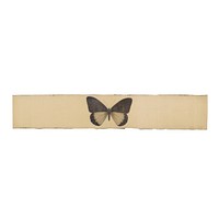 Tape stuck on the butterfly paper white background accessories.
