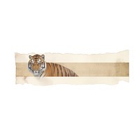 Tape stuck on the tiger wildlife animal mammal.