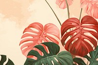 Monstera plant backgrounds green.