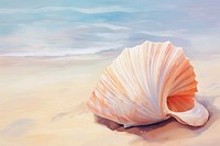 Sea shell by the beach seashell conch clam.