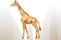 Giraffe wildlife standing animal.