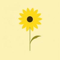 Minimal Abstract Vector illustration of a sunflower plant inflorescence asteraceae.