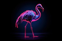 Neon flamingo animal bird illuminated.