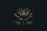 Lotus nature flower black.